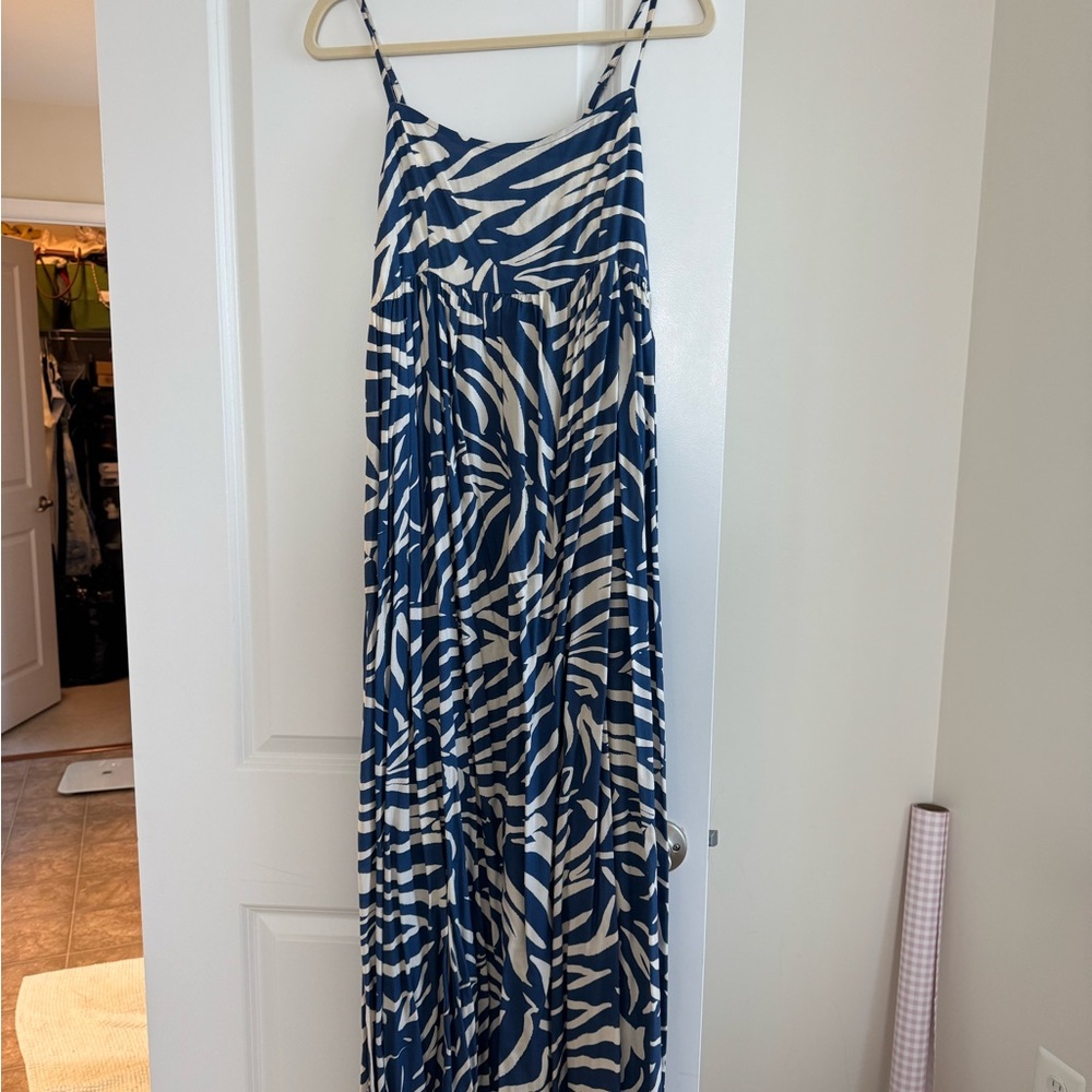 Blue and White Zebra Print Maxi Dress